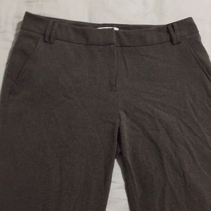 New York & Company pant
